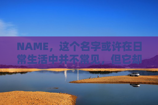 NAME，这个名字或许在日常生活中并不常见，但它却在某些领域里扮演着重要的角色。今天，让我们一起来探索这个名字背后的故事和意义